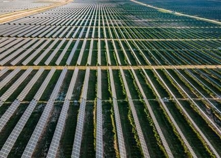 Lightsource bp 宣布攜手綠岩能源在台啟動 150MW 漁電共生開發案